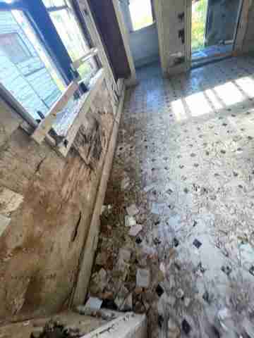 17257 bloom (34).jpg